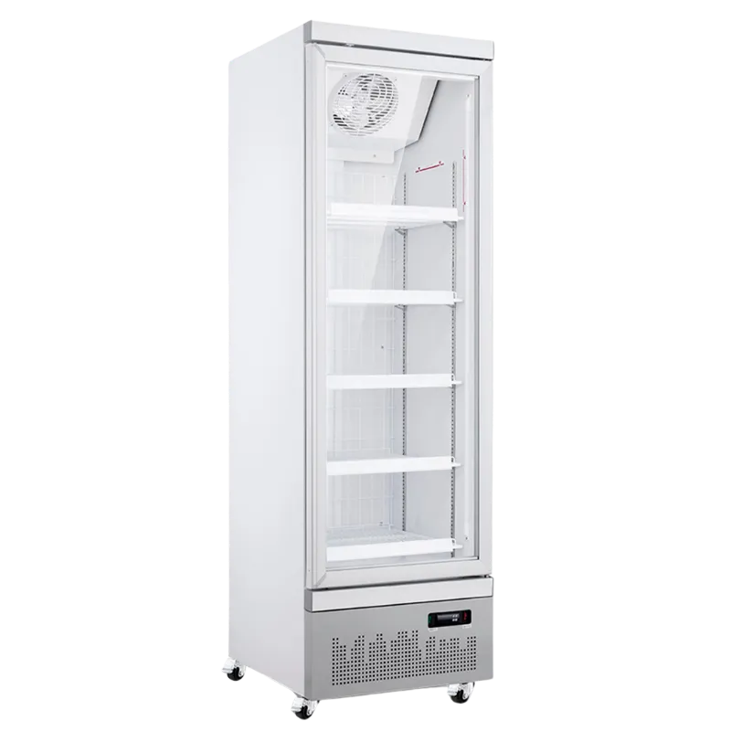 CATERTOP CT-BR620DF Glass Door Merchandisers Freezer (White Color)