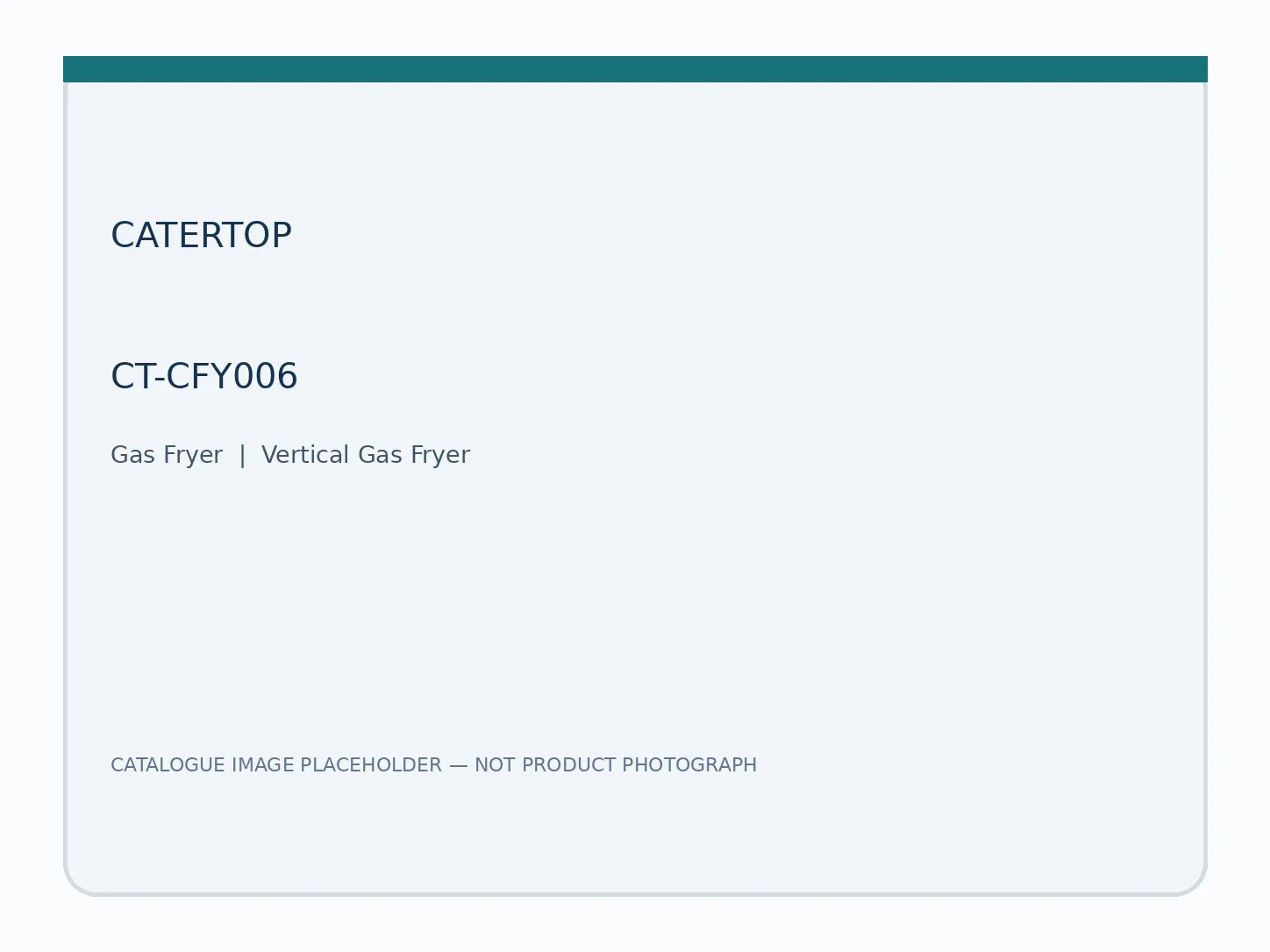 Vertical Gas Fryer — model CT-CFY006