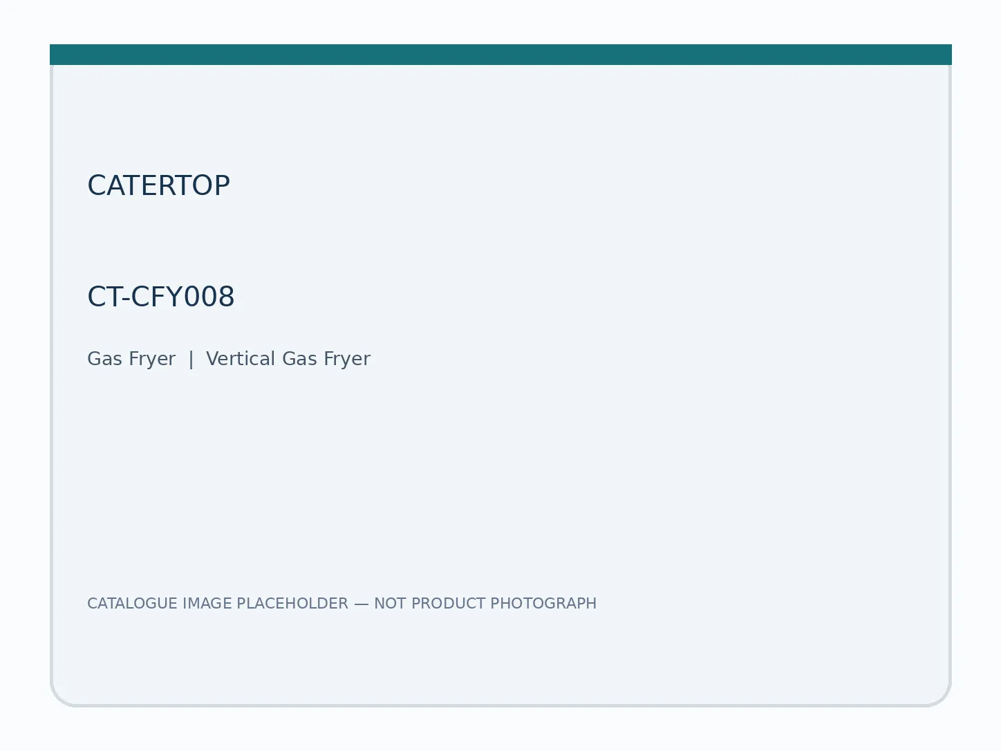 Vertical Gas Fryer — model CT-CFY008