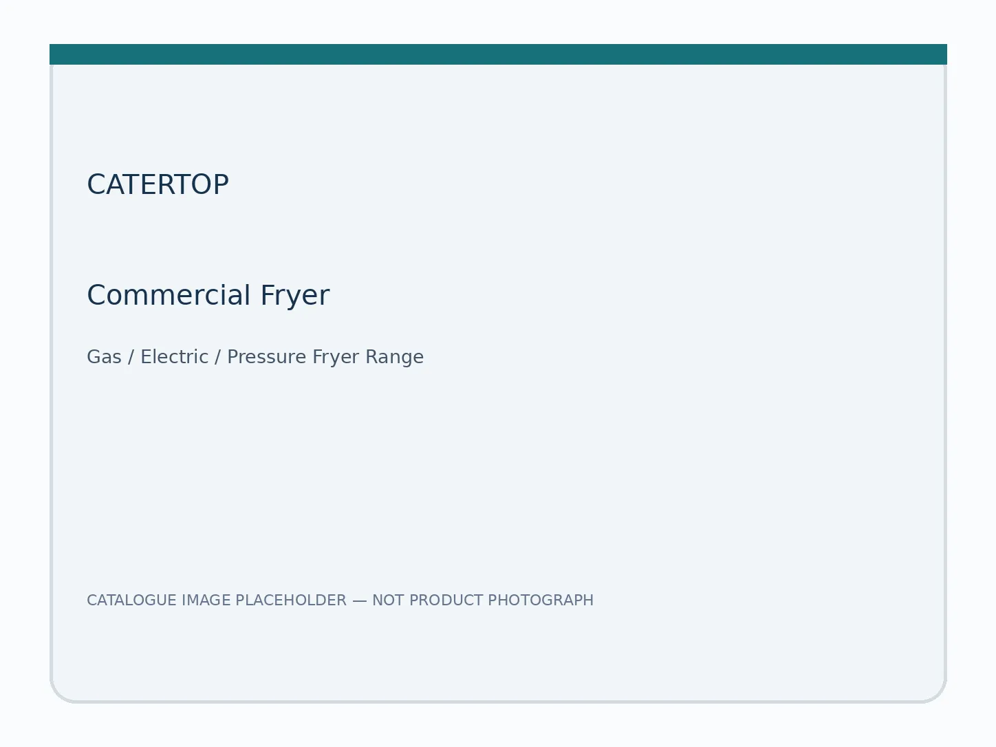 Commercial fryer range: gas, electric and pressure fryer equipment